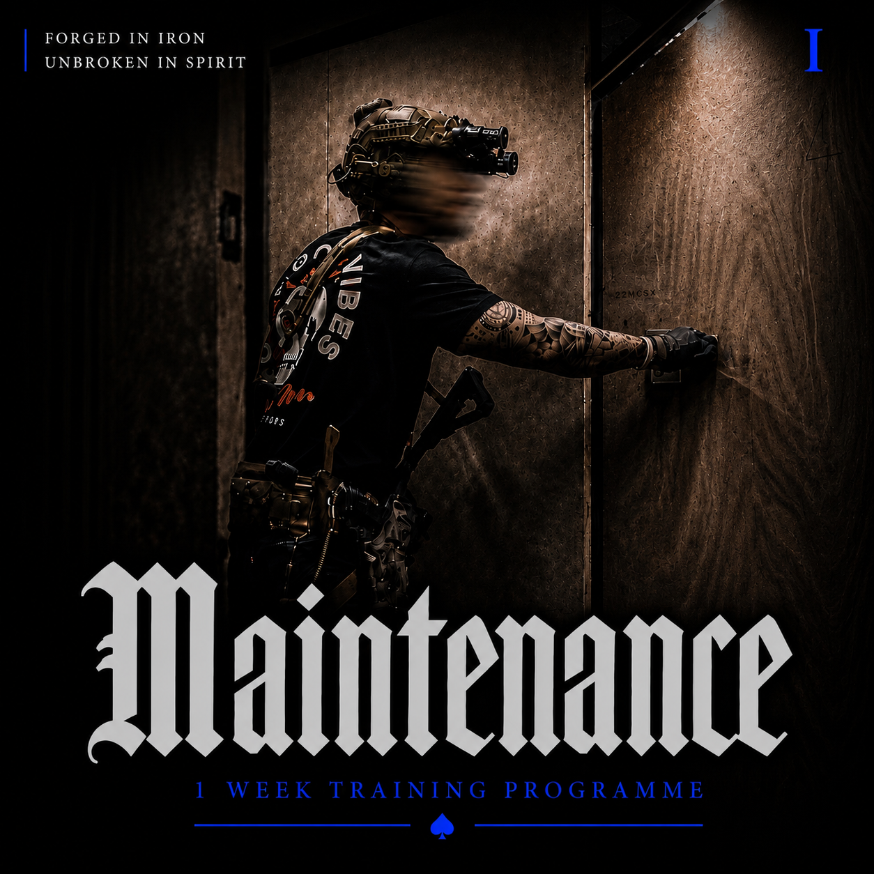 Maintenance (1 Week)